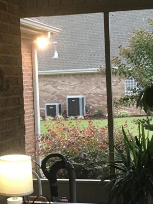 Guest review image 1 of 1, zoom in