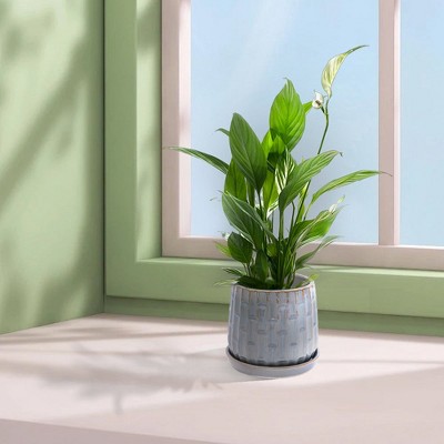 Chic Crate Set of 2 Modern 7″ Ceramic Planters with Drainage Hole – Stylish Pots for Patio, Garden & Windowsill