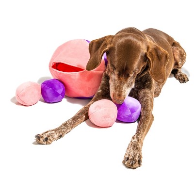 Midlee Hide a Ball Dog Toy - Pink/Purple