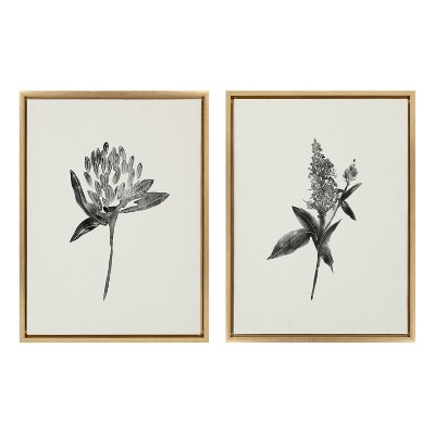 (Set of 2) 18" x 24" Sylvie Vintage Botanical 1 and 2 Framed Canvas - Kate & Laurel All Things Decor