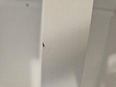 Guest review image 2 of 2, zoom in