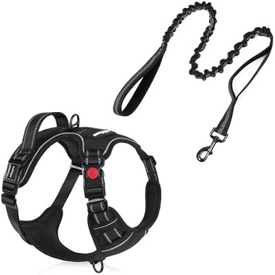 rabbitgoo Dog Harness - No Pull Pet Harness with 3 Buckles, Tactical Bungee Dog Leash with Shock Absorption, Black, XL
