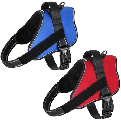 rabbitgoo Dog Harness Medium Sized, No Pull No Choke Pet Vest, Easy Wearing with One Buckle,  Training, Blue and Red, M