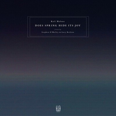 Stephen O'Malley - Does Spring Hide Its Joy (Vinyl)