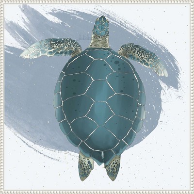 Amanti Art Sea Turtle by Lucca Sheppard Framed Canvas Wall Art