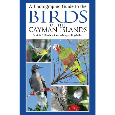 A Photographic Guide to the Birds of the Cayman Islands - by  Patricia E Bradley & Yves-Jacques Rey-Millet (Paperback)