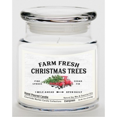 Courtside Market Fresh Farm Trees Evergreen 18oz Soy Wax Candle Glass Jar & Lid