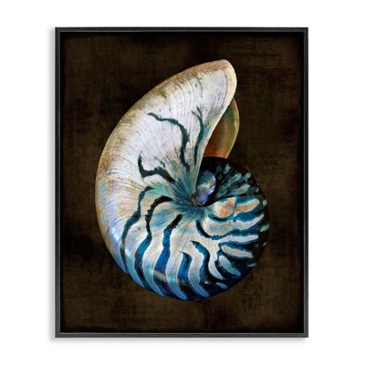 Stupell Industries Dark Nautilus Shell, 11" x 14"