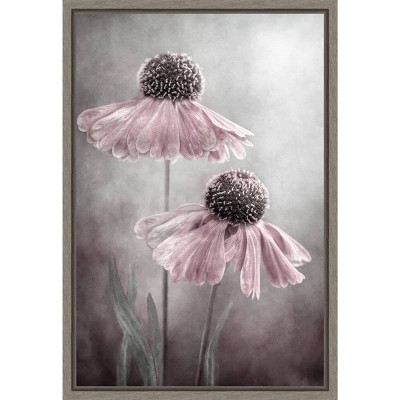 Amanti Art 16"x23" Duet of pink flowers by Mandy Disher: Modern Botanical Lithograph, Framed Canvas Print