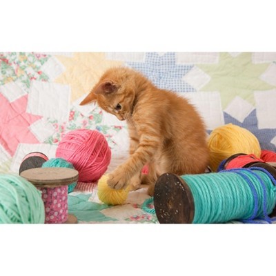 Sunsout Kitty Plays Ball 300 pc Jigsaw Puzzle 72106