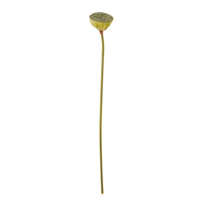 Saro Lifestyle Lotus Pod Floral Accent (Set of 12), 30", Green