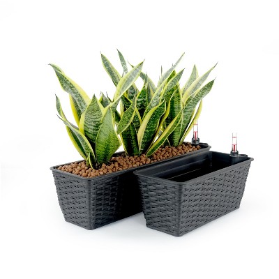 Gulches 2-Pack Espresso Hand-Woven Wicker Self-Watering Rectangle Planter