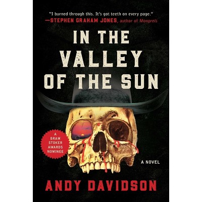 In the Valley of the Sun - by  Andy Davidson (Paperback)