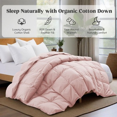 Puredown All Season Organic Cotton Down Comforter - 100% Natural, Chemical-Free, Medium Warmth Duvet Insert