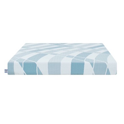 Sealy Dreamlife 6" Foam Mattress