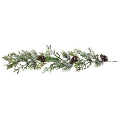 Northlight Frosted Mixed Pine and Cedar with Pinecones Artificial Christmas Garland - 5' x 10" - Unlit