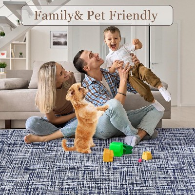 Acekool Area Rug, Modern Washable Non Slip Stain Resistant Soft Low Pile Foldable Carpet for Living Room Bedroom Dining, 2x6FT