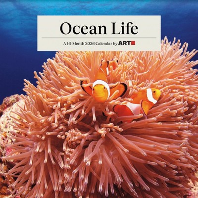 Trends International 2026 Ocean Life 12"x12" Wall Calendar