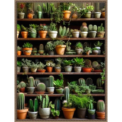 Amanti Art Assorted Succulents 2 by Justyna Jaszke Canvas Wall Art Print Framed