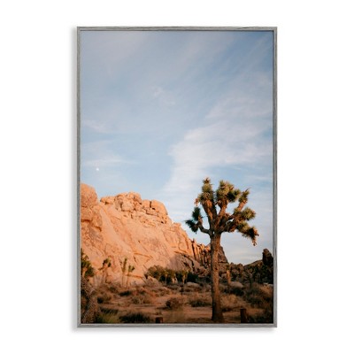 Stupell Industries Joshua Tree & Canyon Framed Giclee Art