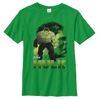 Boy's Marvel Avengers: Infinity War Hulk View T-Shirt