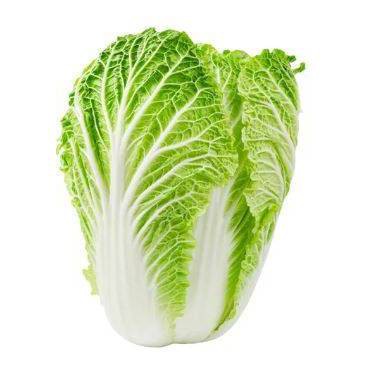 Fresh Napa Cabbage - 2ct