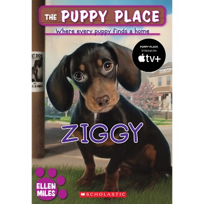 Ziggy (the Puppy Place #21) - by  Ellen Miles (Paperback)