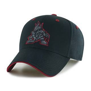 NHL Arizona Coyotes Black Money Maker Snap Hat: Cotton Adjustable Team Logo