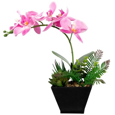 Northlight 13" Orchid with Succulent Artificial Potted Plant - Pink