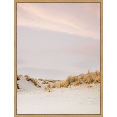 Amanti Art Ameland Dunes 3 by Raisa Zwart Framed Canvas Wall Art