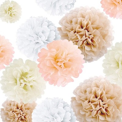 EpiqueOne 20 Piece Tissue Paper Pom Poms Party Kit - Colorful Paper Flower Wall Decorations - White Ivory