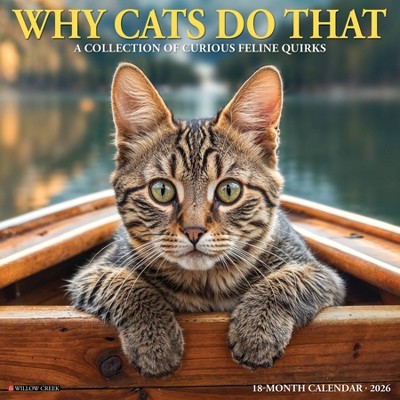 Willow Creek Press 2026 Why Cats Do That Wall Calendar