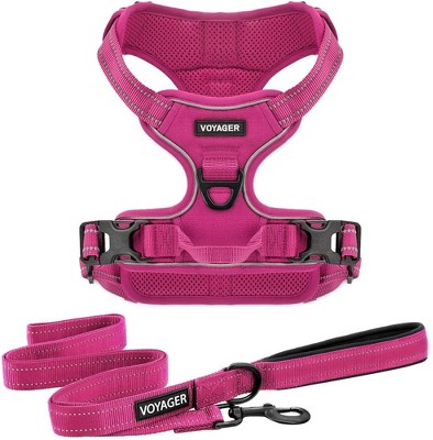 Voyager Dual-Attachment No-Pull Dog Harness with 6ft Leash Combo 