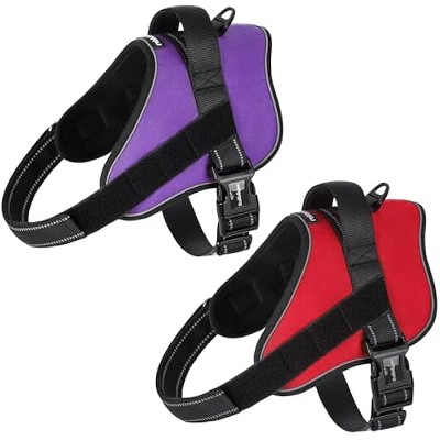 rabbitgoo Dog Harness Medium Sized, No Pull No Choke Pet Vest, Easy Wearing with One Buckle, Training, Purple and Red, M