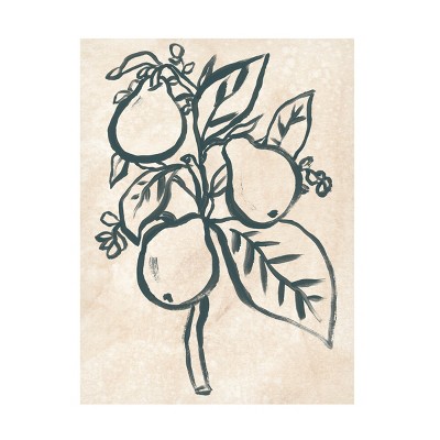 Trademark Fine Art - June Erica Vess  Ink Pear Branch II Canvas Art
