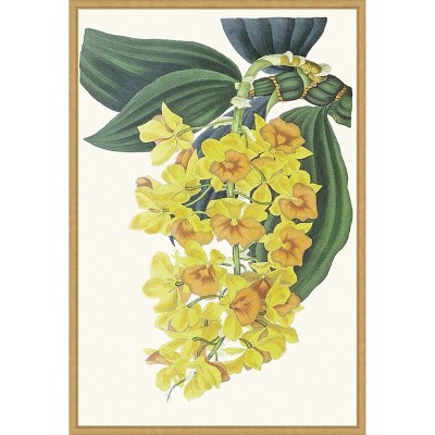 Amanti Art Paxton Tropicals VIII by Jennifer Paxton Parker Framed Canvas Wall Art