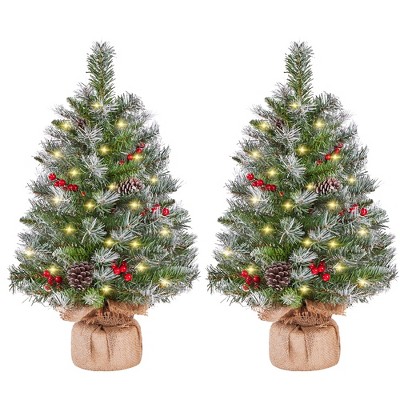 Yaheetech 2Ft/3Ft Set of 2 Frosted Tabletop Christmas Tree with LED Lights, Green