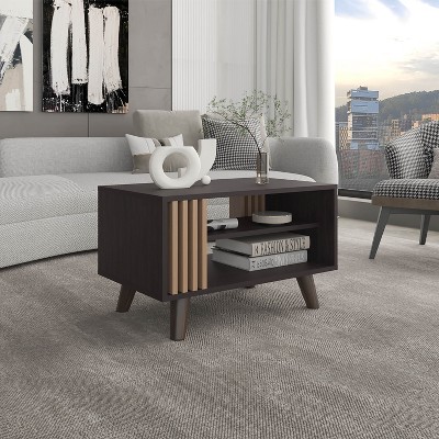 Coffee Table, 1 Door, 2 Shelves, Black Wengue / Natural Oak