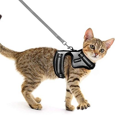 rabbitgoo Cat Harness and Leash for Walking, Escape-Proof No Choke Reflective Vest Harnesses for Small Cats, Outdoor Activity, Grey, M
