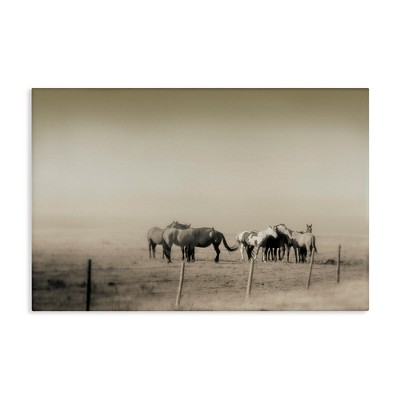 Stupell Industries The Herd Monochrome Horses Canvas Art