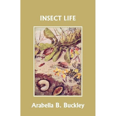 Insect Life (Yesterday's Classics) - by  Arabella B Buckley (Paperback)