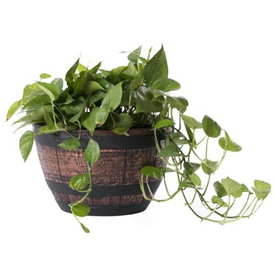 Gardenised Brown Outdoor Rustic Half Barrel Flower Garden Planter Bowl, Plastic