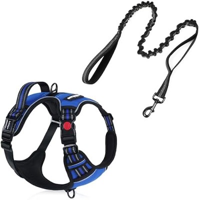 rabbitgoo Dog Harness - No Pull Pet Harness with 3 Buckles, Tactical Bungee Dog Leash with Shock Absorption, Blue, M