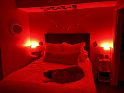 Guest review image 2 of 3, zoom in