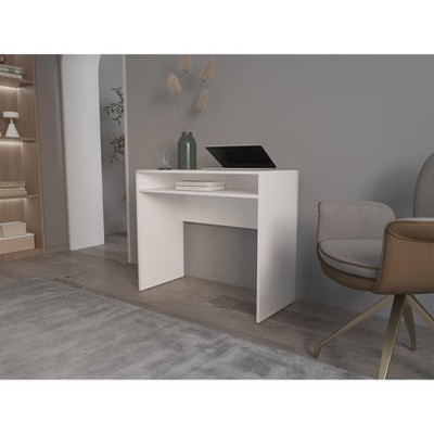 Grungis Office Desk with Storage,Computer Desk for Home Office,Company
