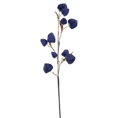Vickerman 30.5" Dried Lantern Spray