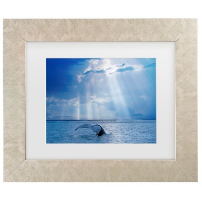 Trademark Fine Art - Mircea Costina  Whale and sun rays Matted Framed Art