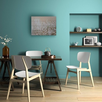 Trademark Fine Art Petra Meikle de Vlas Lifted Wood Slat Art