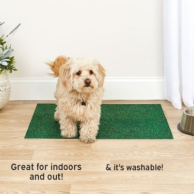 Drymate Drymate Potty Pad Green Grass