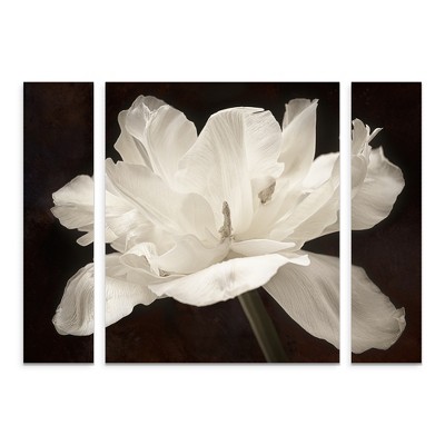 Cora Niele 'White Tulip I' Multi Panel Art Set Large